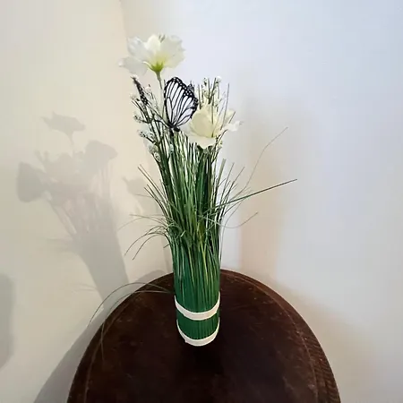 Le Grand Huit Wifi Parking Un Sejour A Part شقة